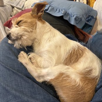 The Apron - It's always hard to go to places when I have to leave this little love bug. - Salad Near Me - Burlingame, California The Apron - It's always hard to go to places when I have to leave this little love bug. - Salad Near Me - Burlingame, California