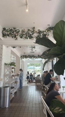 Pura Vida Miami by null