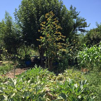 Huerta del Valle - Community Gardens Near Me - Ontario, California