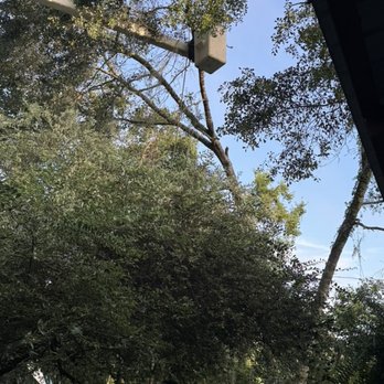 Liberty Tree Care - Liberty Tree Care is the best! We are so happy that we entrusted our work to them. - Tree Services Near Me - Brooksville, Florida Liberty Tree Care - Liberty Tree Care is the best! We are so happy that we entrusted our work to them. - Tree Services Near Me - Brooksville, Florida