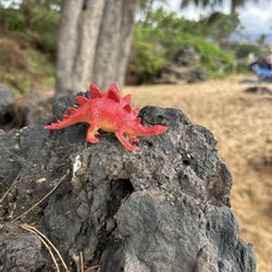 Charley Young Beach