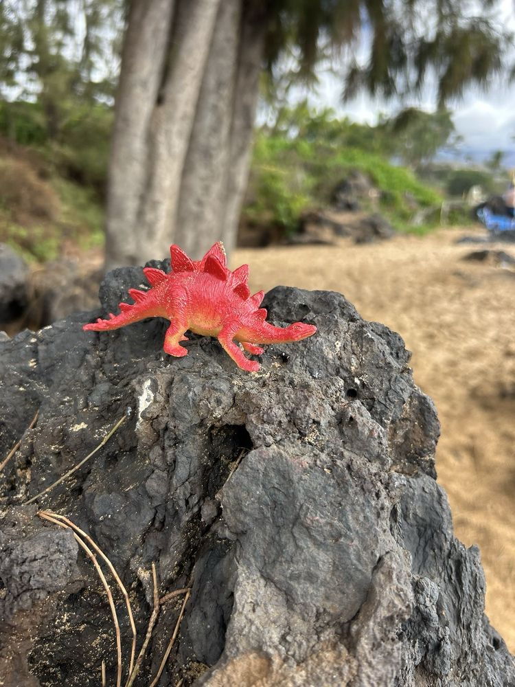 Charley Young Beach Logo