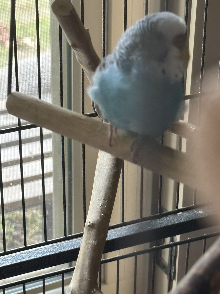 Ten West Bird & Animal Hospital - pet boarding facility in San Antonio, TX