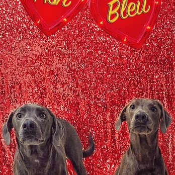 Bark N Lounge Daycare & Boarding - Pet Groomers Near Me - Keller, Texas Bark N Lounge Daycare & Boarding - Pet Groomers Near Me - Keller, Texas