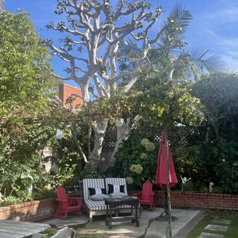 Big Mike & Sons' Tree Service - I asked for bald and he listened!! - Tree Services Near Me - Costa Mesa, California Big Mike & Sons' Tree Service - I asked for bald and he listened!! - Tree Services Near Me - Costa Mesa, California