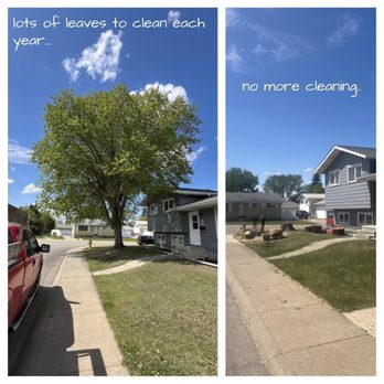 Ready Forest Solutions - Tree Services Near Me - Edmonton, Alberta Ready Forest Solutions - Tree Services Near Me - Edmonton, Alberta