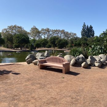 CSUN Pond - Parks Near Me - Los Angeles, California CSUN Pond - Parks Near Me - Los Angeles, California
