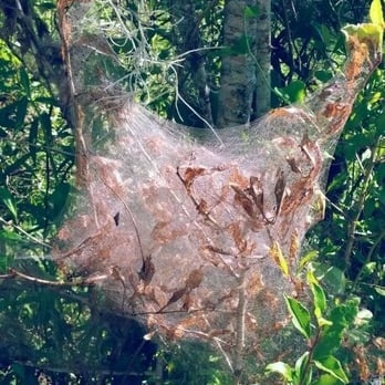 Barataria Preserve - Parks Near Me - Marrero, Louisiana