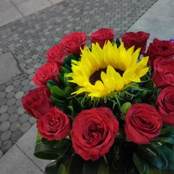Florería Balderas