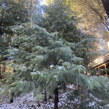Lazy Z Resort - Resorts Near Me - Twain Harte, California