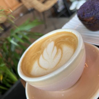Wild - Purple Haze - Coffee & Tea Near Me - Houston, Texas