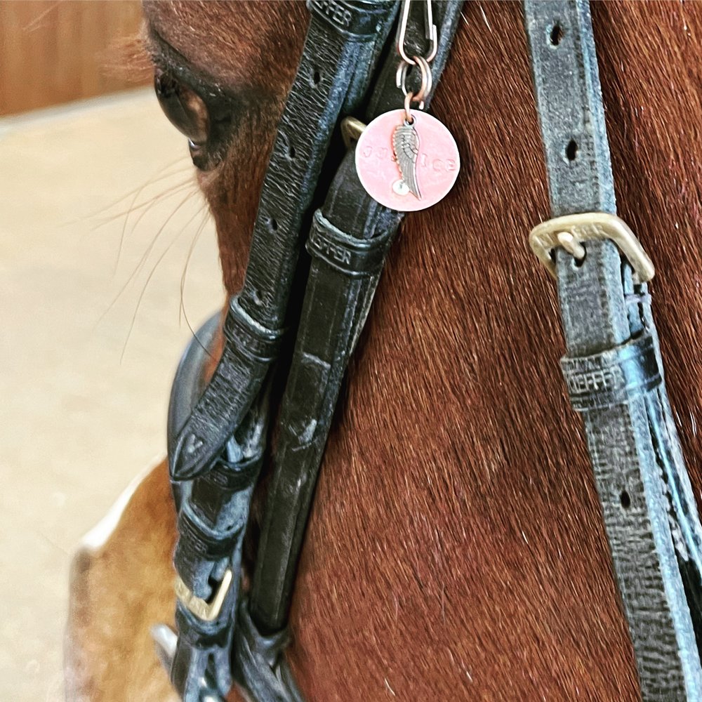 Dynamite Riding Academy Logo
