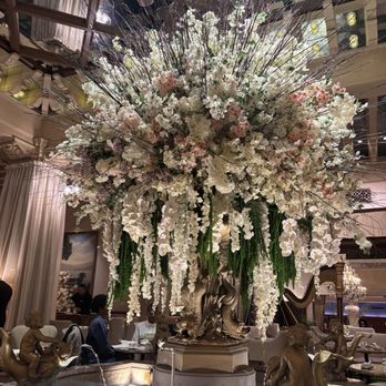 Palm Court - Interior - Bars Near Me - Chicago, Illinois