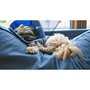 Photo of Badger Mountain Pet Care