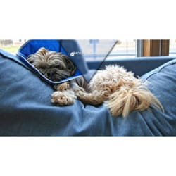 Badger Mountain Pet Care