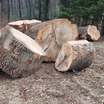 ViewPoint Tree Service - Logs - Tree Services Near Me - Lynchburg, Virginia ViewPoint Tree Service - Logs - Tree Services Near Me - Lynchburg, Virginia