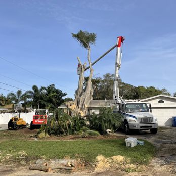 Roberson’s Tree Service - Final limbs being lowered with ropes and rigging
December 16 - Tree Services Near Me - Fayetteville , New York Roberson’s Tree Service - Final limbs being lowered with ropes and rigging
December 16 - Tree Services Near Me - Fayetteville , New York