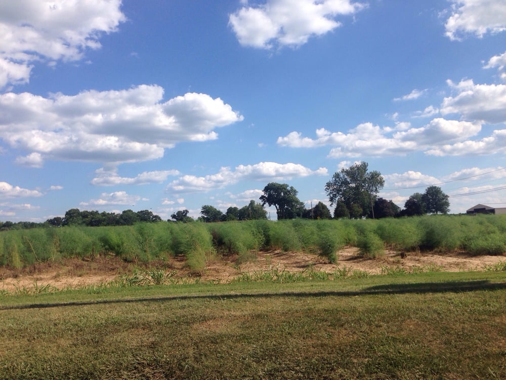 Katona Farms Logo