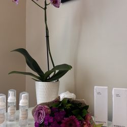 BP Lash Studio - Each new client receives a take home baggie with lash bath to keep your eyes clean while wearing your new extensions. Lash Serum avail too!