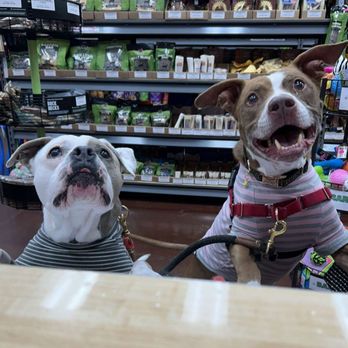 Dog Supplies Outlet - Goofs - Pet Stores Near Me - Las Vegas, Nevada Dog Supplies Outlet - Goofs - Pet Stores Near Me - Las Vegas, Nevada