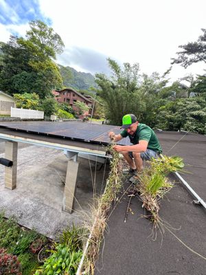 Gutter cleaning - These gutters had been ignored for quite some time so our team went out and took care of them!