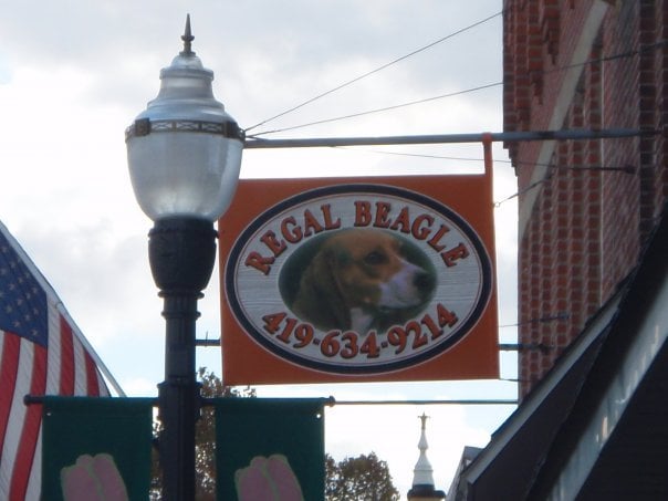 Social spots from Reagle Beagle