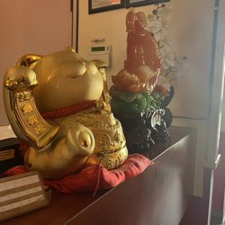 Japan Japanese & Chinese Diner - Happy China cat