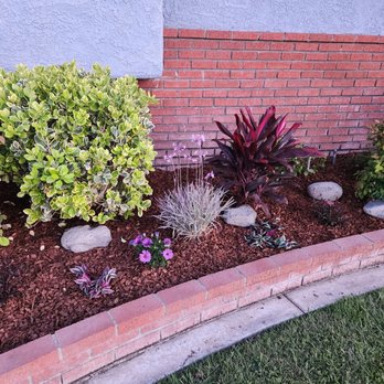 Bob & Mimmy's Gardening - Front of house - Gardeners Near Me - Long Beach, California Bob & Mimmy's Gardening - Front of house - Gardeners Near Me - Long Beach, California