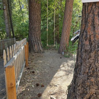 Elk Ridge Campground - Tree swing near the lower camping area - Hiking Near Me - Naches, Washington Elk Ridge Campground - Tree swing near the lower camping area - Hiking Near Me - Naches, Washington