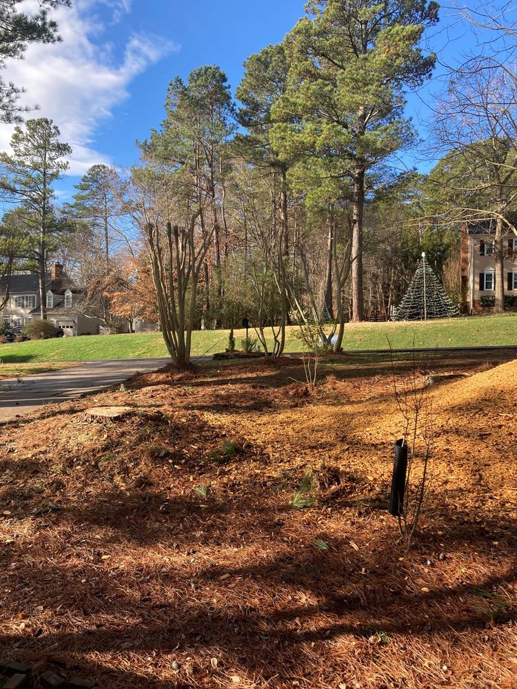 Ab Tree Service - tree service in Raleigh, NC