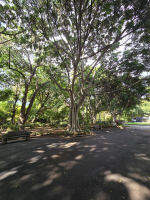 Parque García Sanabria by null