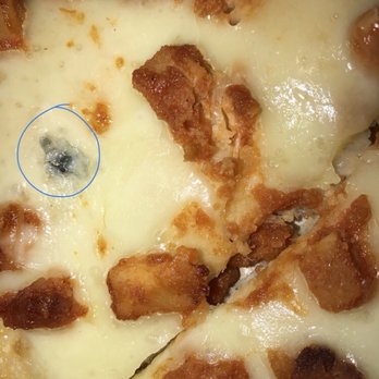 Angel's Pizza Restaurant - Mold in the cheese. - Mexican Near Me - Cairo, New York