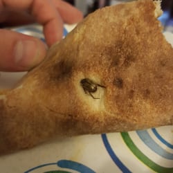 Stormville Pizza & More - Picked up a slice from this place and saw this bug embedded in the bottom of the pizza. Absolutely disgusting.