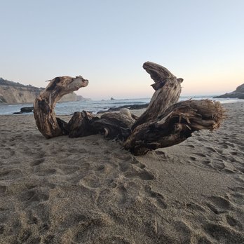Greyhound Rock Beach Access - 1-18-25. FYI - Beaches Near Me - Davenport, California Greyhound Rock Beach Access - 1-18-25. FYI - Beaches Near Me - Davenport, California