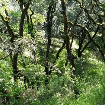 Shiloh Ranch Regional Park - Parks Near Me - Windsor, California Shiloh Ranch Regional Park - Parks Near Me - Windsor, California