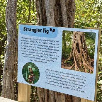Florida Keys Wild Bird Sanctuary - Animal Shelters Near Me - Tavernier, Florida Florida Keys Wild Bird Sanctuary - Animal Shelters Near Me - Tavernier, Florida