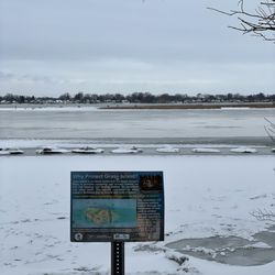 Buckhorn Island State Park