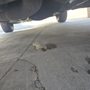 Photo of AAMCO Transmissions & Total Car Care