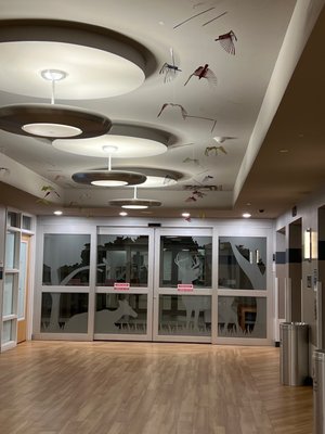 Dell Children's Medical Center by null