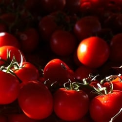 Triangle Fruit Market
