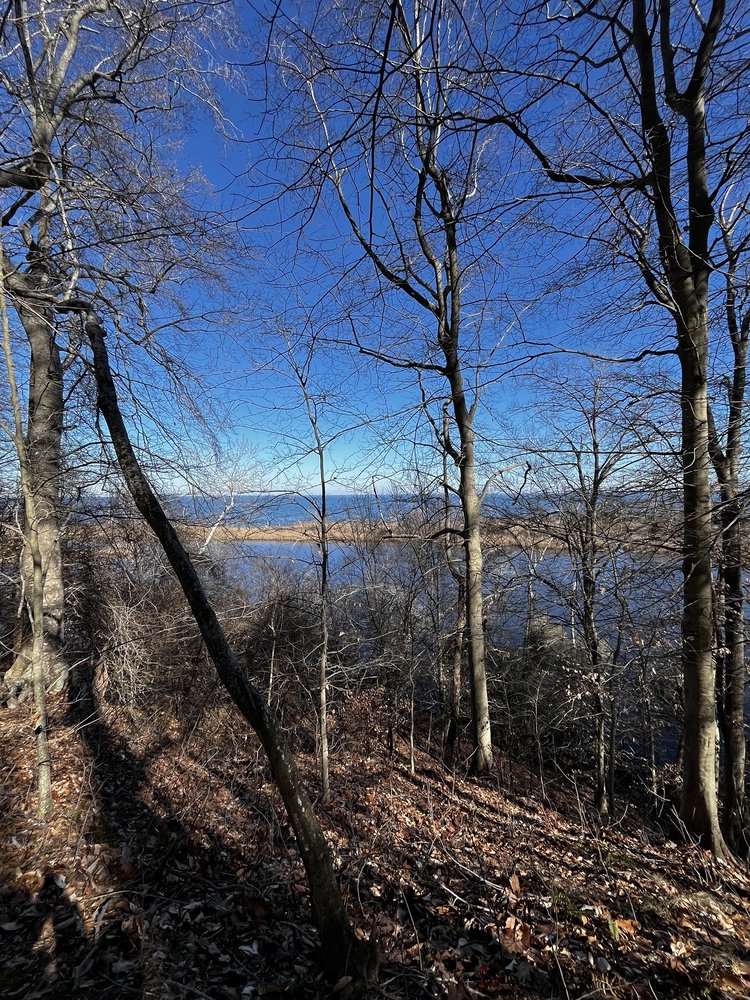 Flag Ponds Nature Park