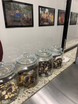 Ecuadorian Chocolate Factory by null