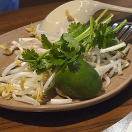 Beansprouts and herbs for the Pho Beansprouts and herbs for the Pho