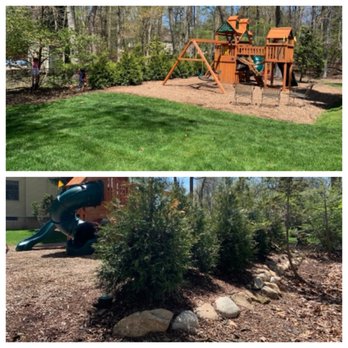 Kindergan Landscaping - Playset area w/ tree privacy screen. - Landscaping Near Me - Bergenfield, New Jersey Kindergan Landscaping - Playset area w/ tree privacy screen. - Landscaping Near Me - Bergenfield, New Jersey