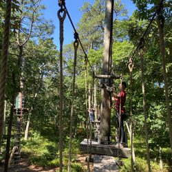 Tree to Tree Cape May - Moving platforms