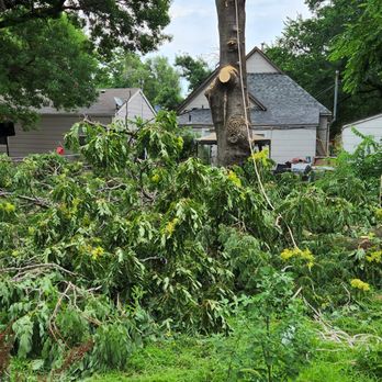B & B Tree Company - Tree Services Near Me - Wichita, Kansas B & B Tree Company - Tree Services Near Me - Wichita, Kansas