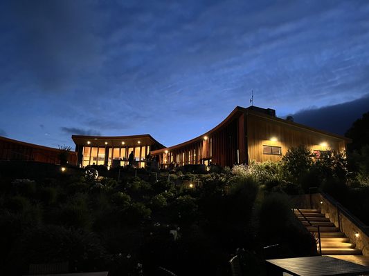 Bouchaine Vineyards by null