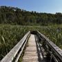 Pictured Rocks National Lakeshore