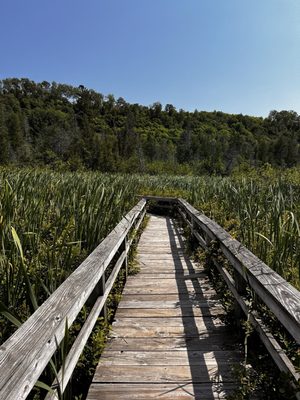 Pictured Rocks National Lakeshore by null