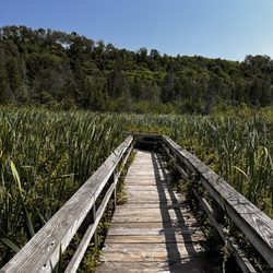 Pictured Rocks National Lakeshore - Raised walkway path